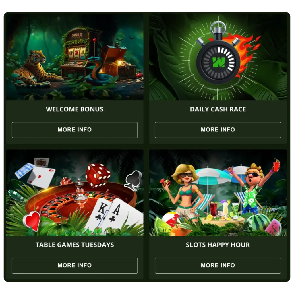 wild casino