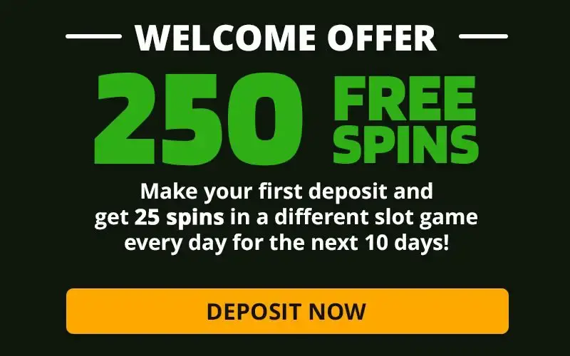 wild casino bonus codes