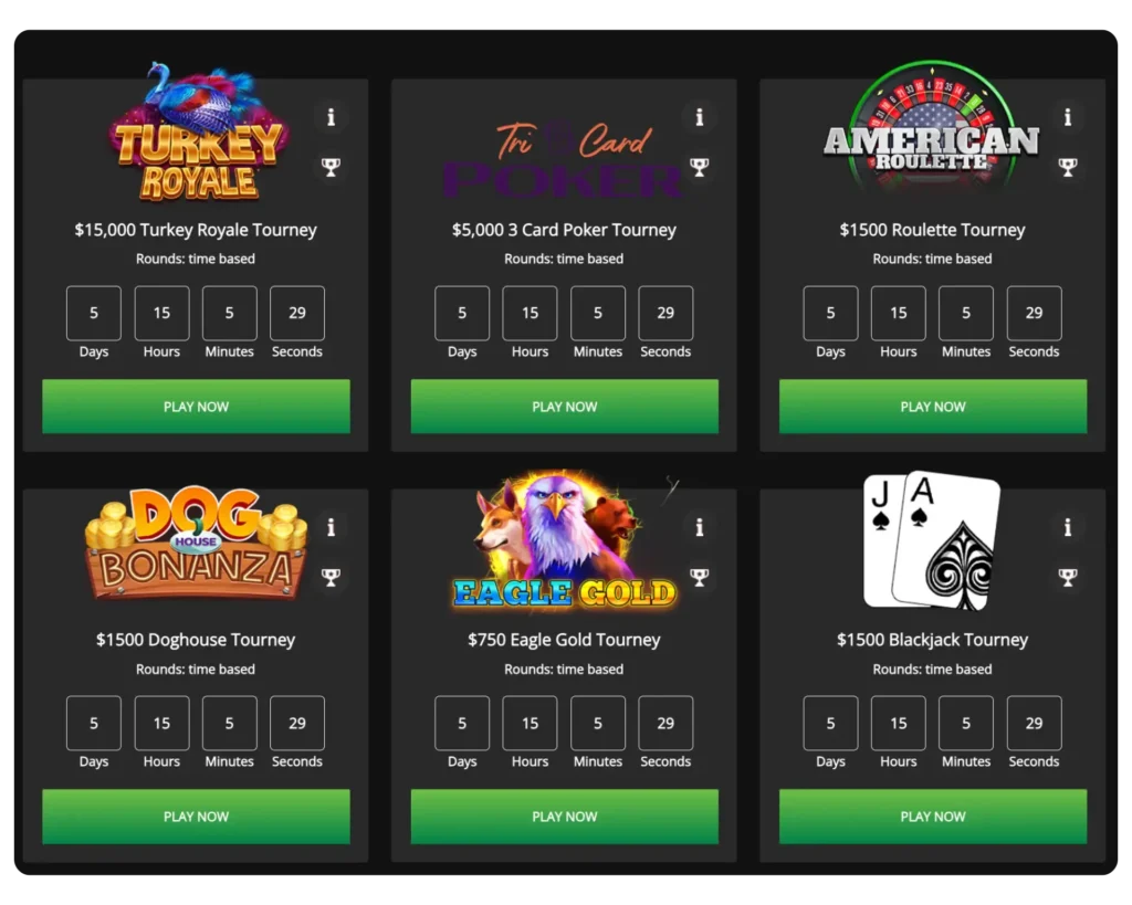 wild casino online